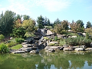Western Michigan [2009] 261